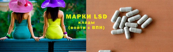 прущие грибы Надым