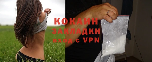 прущие грибы Надым