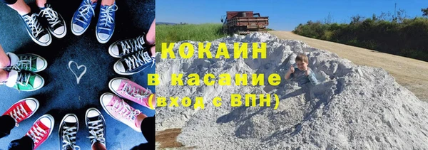 прущие грибы Надым