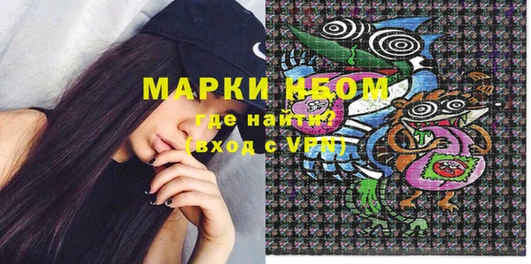 прущие грибы Надым