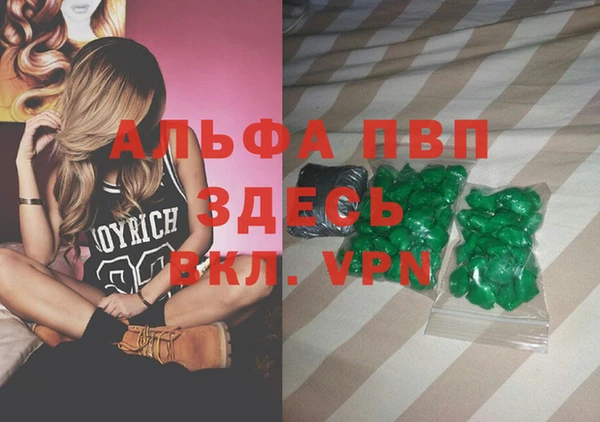 прущие грибы Надым