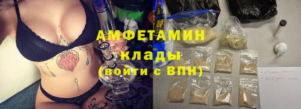 прущие грибы Надым