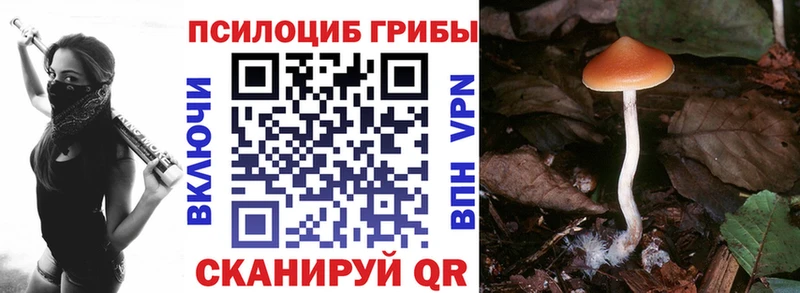 цена   маркетплейс наркотические препараты  Псилоцибиновые грибы мухоморы  Николаевск 