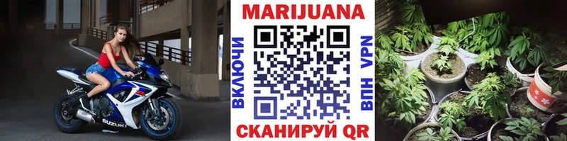 как найти закладки  Николаевск  omg рабочий сайт  Конопля SATIVA & INDICA 